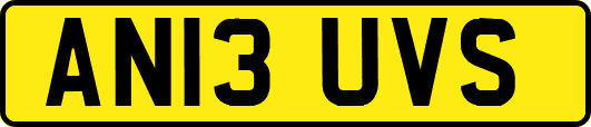 AN13UVS