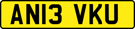AN13VKU