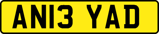 AN13YAD