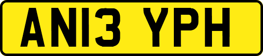 AN13YPH