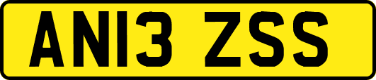 AN13ZSS