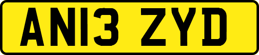 AN13ZYD