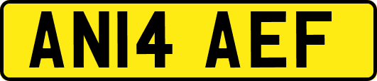 AN14AEF