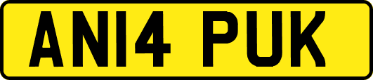 AN14PUK
