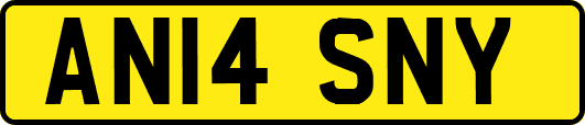AN14SNY