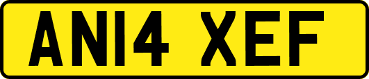 AN14XEF
