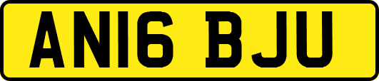 AN16BJU