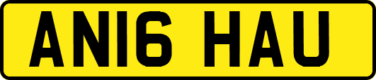 AN16HAU