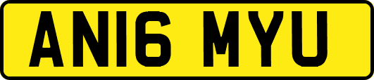 AN16MYU