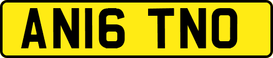 AN16TNO