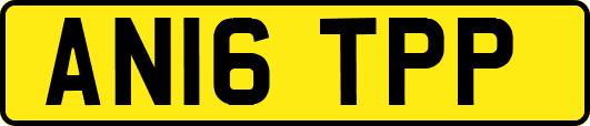 AN16TPP