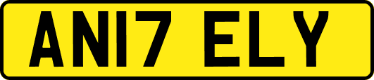 AN17ELY