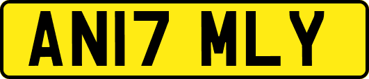 AN17MLY