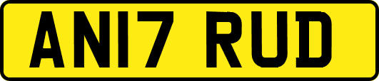 AN17RUD