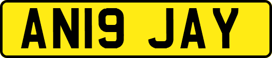 AN19JAY