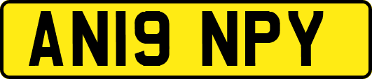 AN19NPY