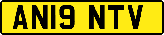 AN19NTV