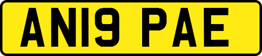 AN19PAE