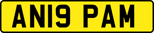 AN19PAM