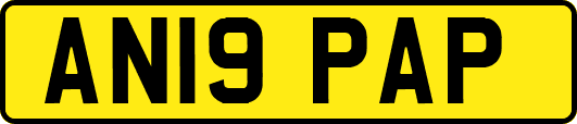 AN19PAP