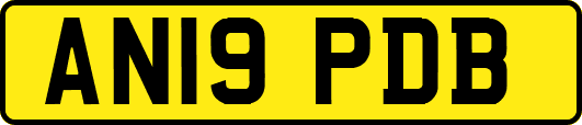 AN19PDB