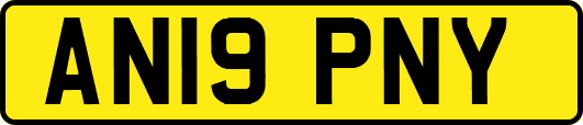 AN19PNY