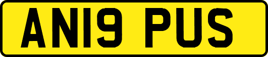 AN19PUS