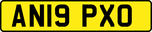 AN19PXO