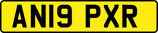 AN19PXR