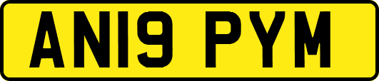 AN19PYM