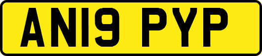 AN19PYP