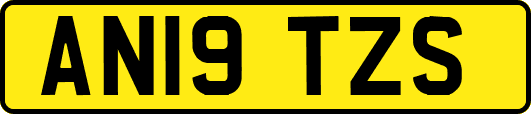 AN19TZS