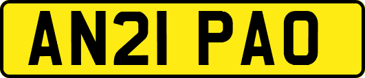 AN21PAO