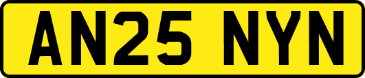 AN25NYN