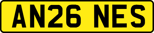 AN26NES