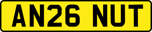 AN26NUT