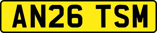 AN26TSM