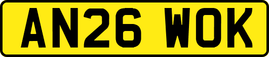 AN26WOK