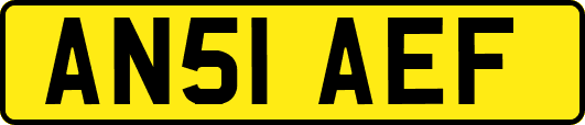 AN51AEF