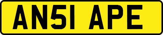 AN51APE
