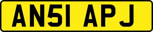 AN51APJ
