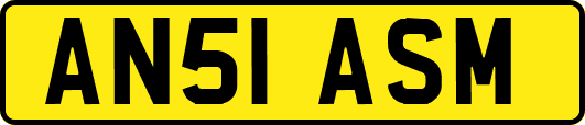 AN51ASM