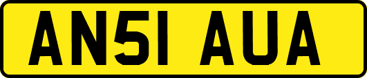 AN51AUA