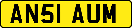 AN51AUM