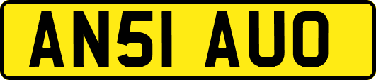 AN51AUO