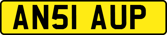 AN51AUP