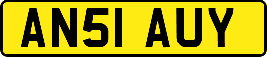 AN51AUY
