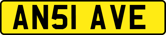 AN51AVE