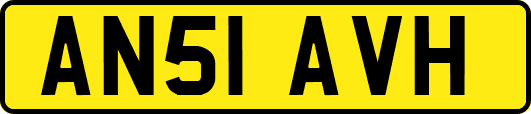 AN51AVH