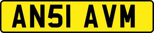 AN51AVM
